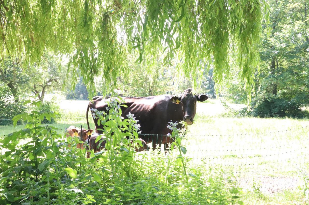 Ferienhaus Heinrichs Cappeler Niederstrich Bagian luar foto